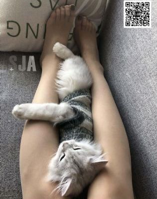 真实偷拍农村妇女偷人视频_超清免费在线播放